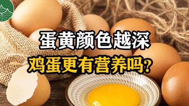 香港免费全年资料大全